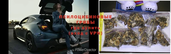Альфа ПВП Алзамай