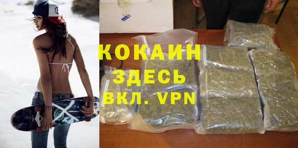 apvp Алексин