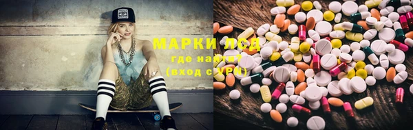 apvp Алексин