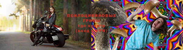 Альфа ПВП Алзамай